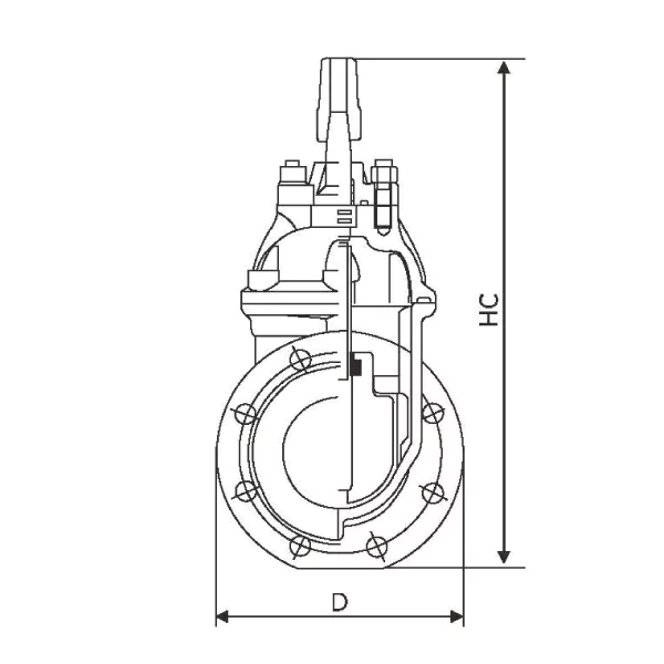 Z45X.2