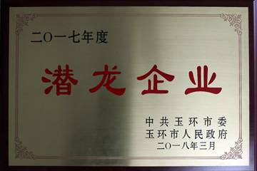 Hidden Dragon Enterprise