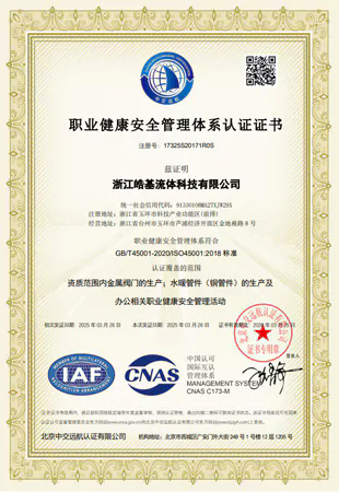 Occupational Health and Safety Management System Certificate