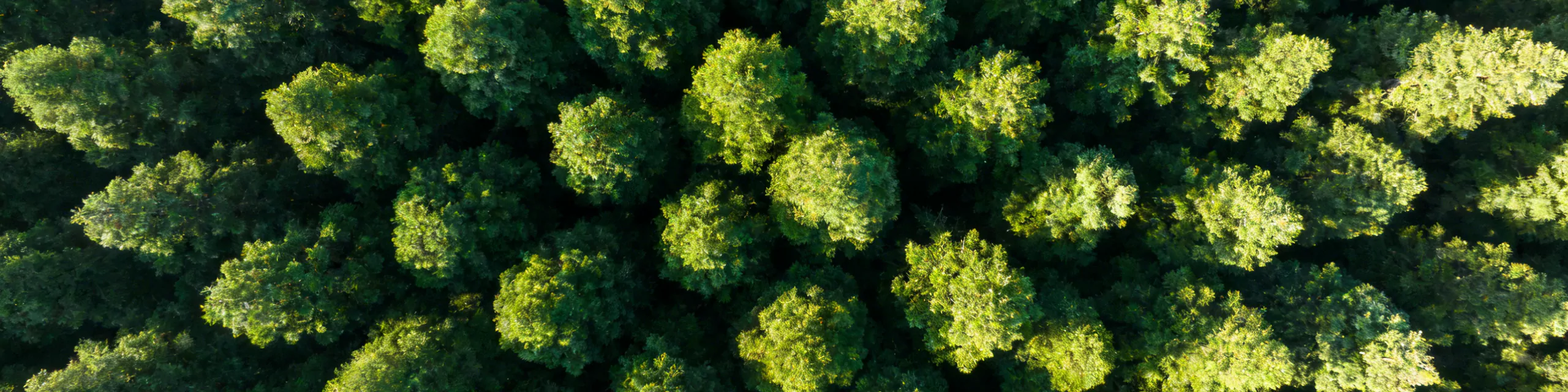 ju7 hero News&Events mobile