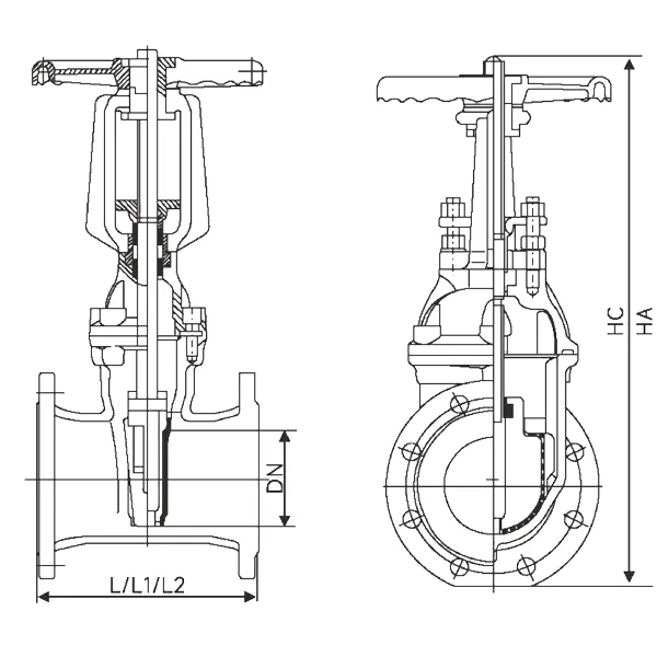 Z41X.1