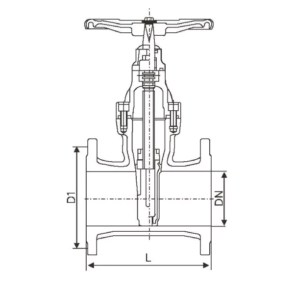 Z45X.1