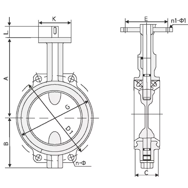 D371X.1